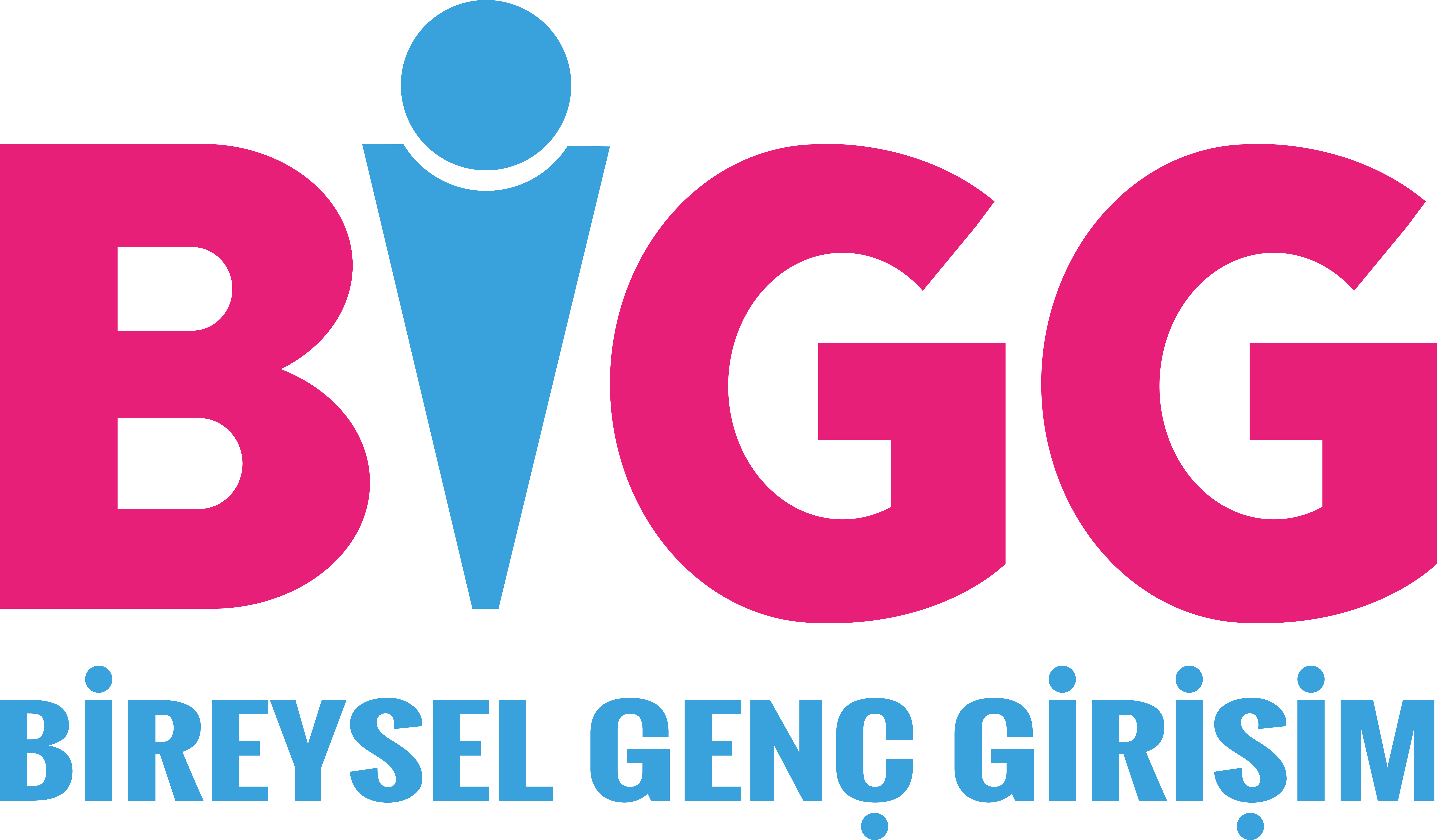 bigg_logo